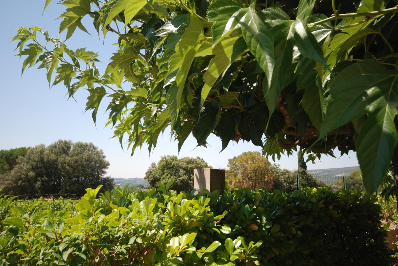 Le Grand Barsan Appartement Vaison-la-Romaine Buitenkant foto
